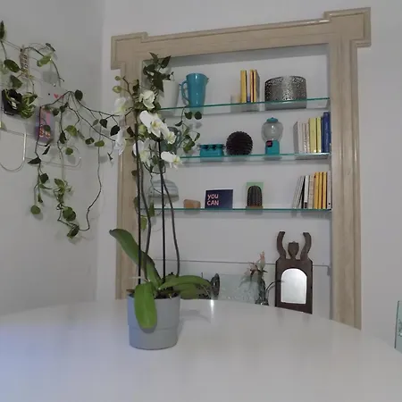 Casa Via Della Luce Apartment Rome